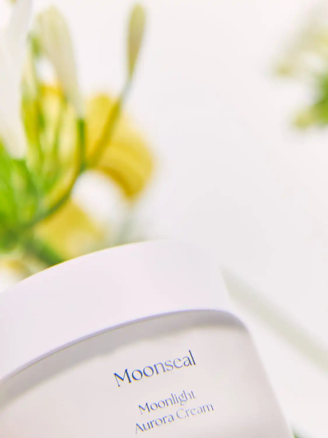 Crema Moonseal